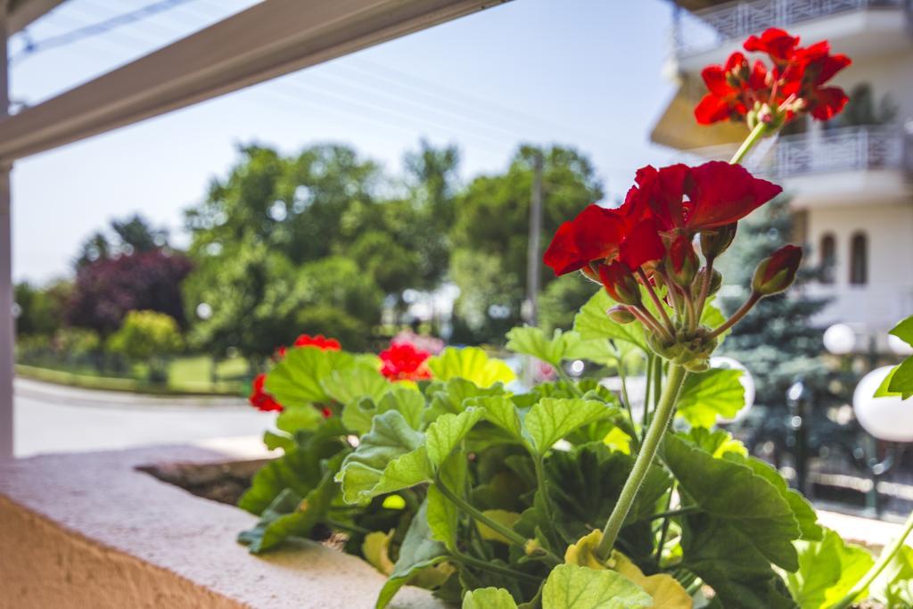 Ikaros Apartments Paralía Екстериор снимка