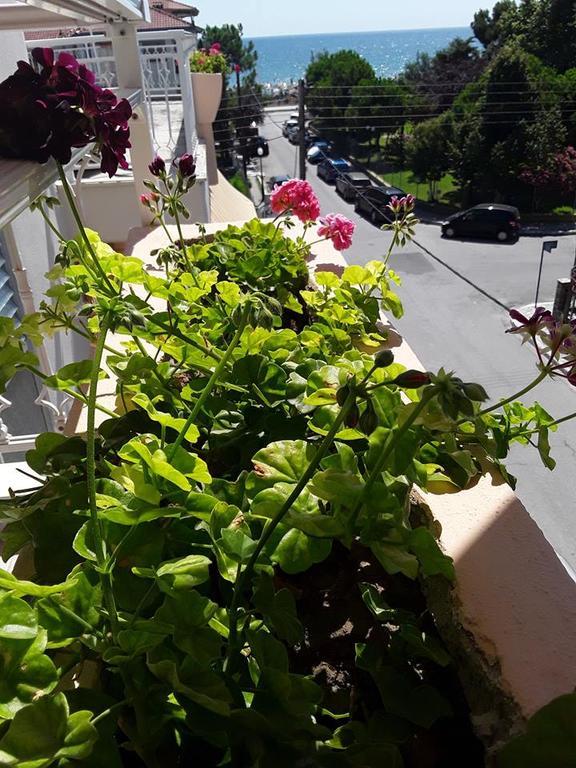Ikaros Apartments Paralía Екстериор снимка